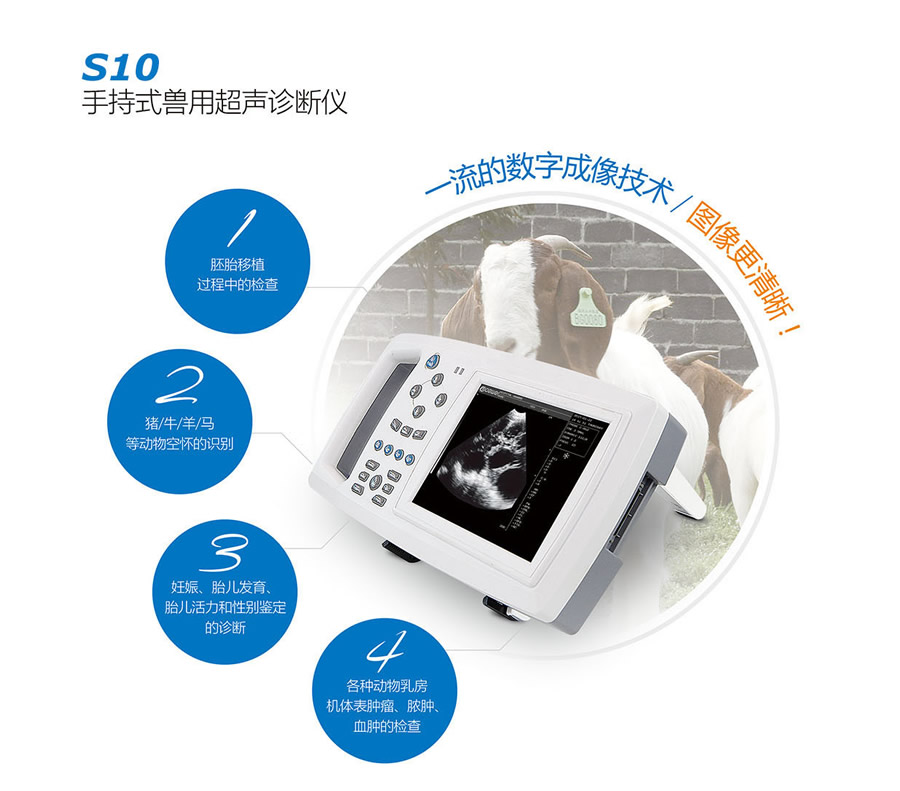 豬用B超,獸用B超,懷孕母豬B超,豬用測孕儀,母豬測孕儀