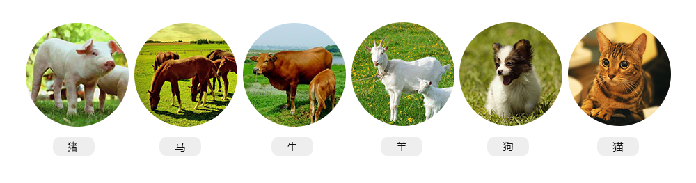 S7推車式獸用彩超機(jī)適用對(duì)象